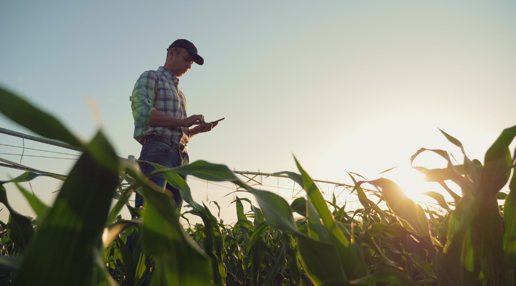 How innovative technology is solving the complications of modern farming 